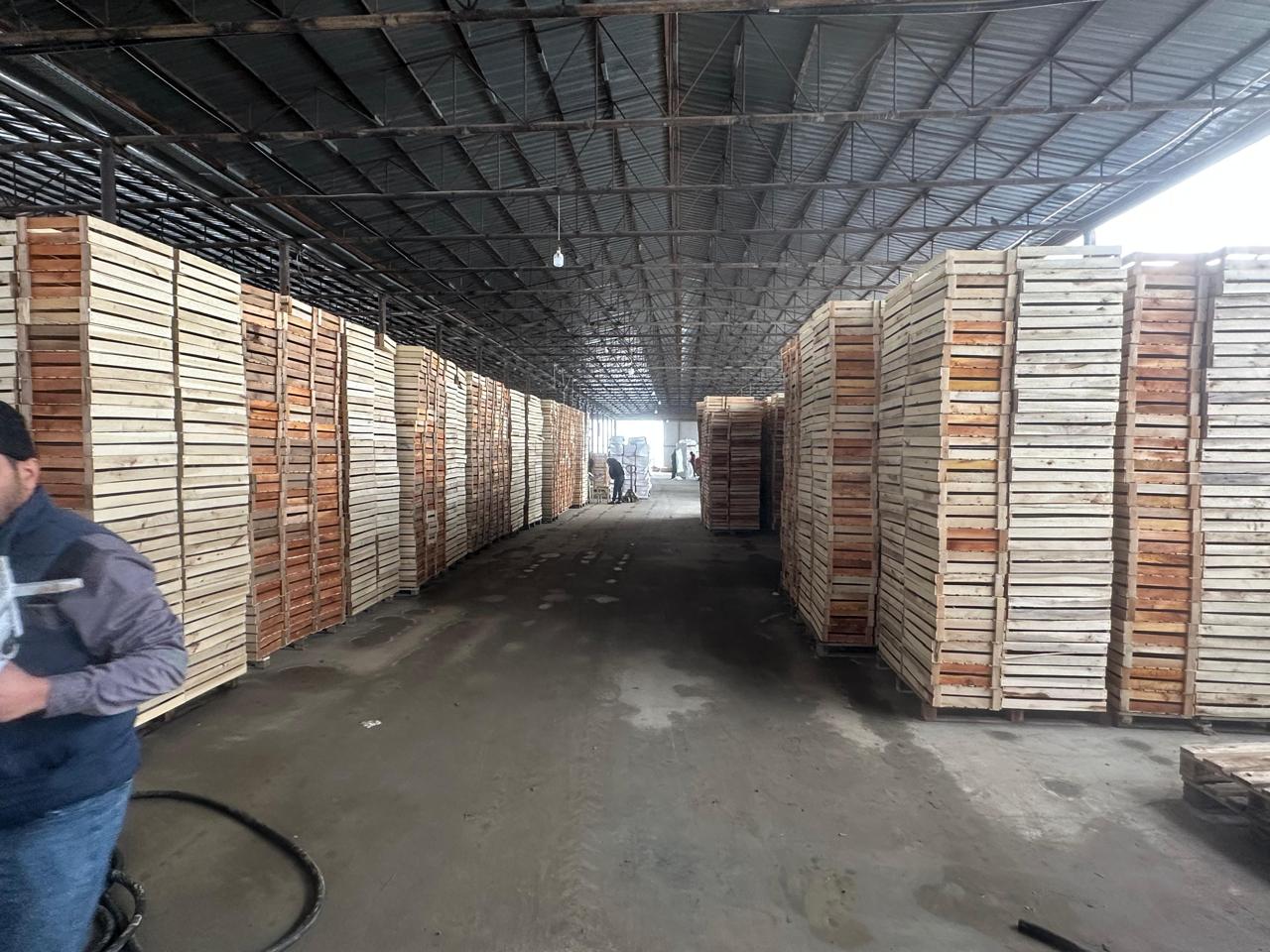 Yüksək Texnologiyalı Aqro-İnvestisiya: - Görsel 3