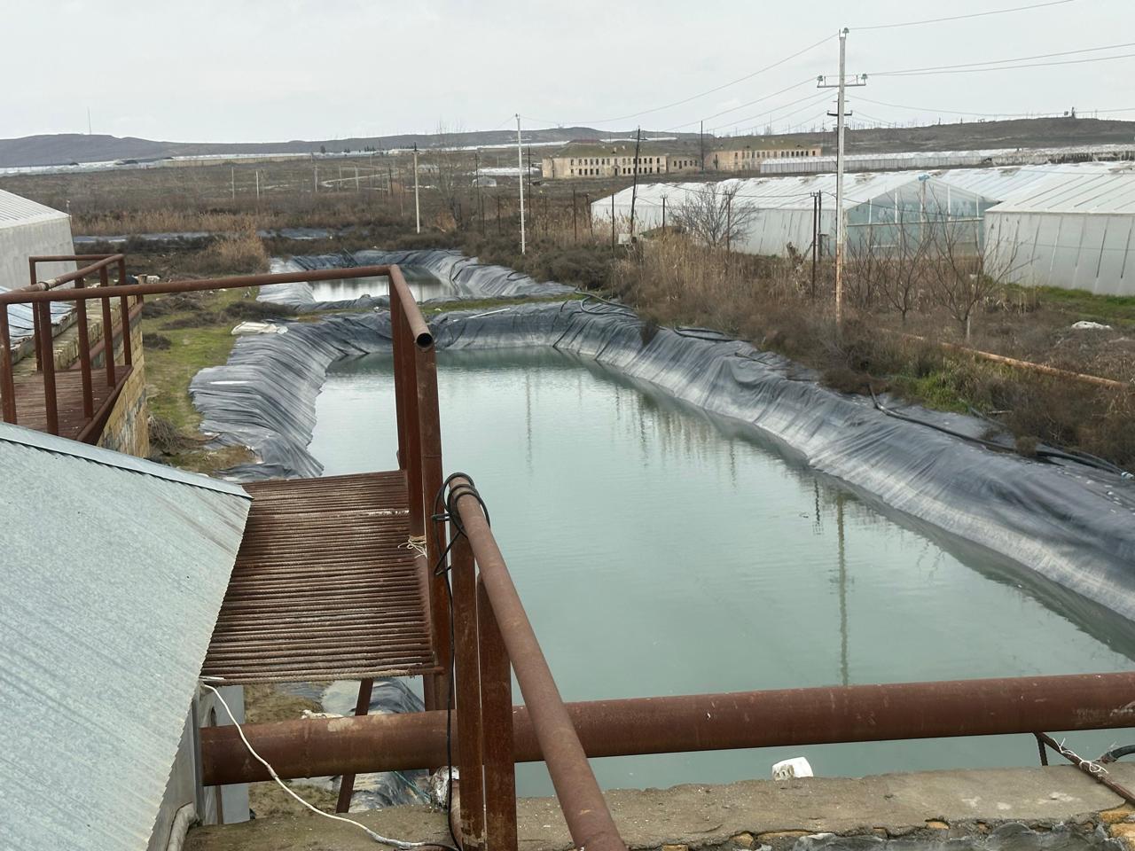 Yüksək Texnologiyalı Aqro-İnvestisiya: - Görsel 1